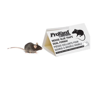 ProYard 185037 MOUSE GLUE TRAPS FOLDABLE - 2PK