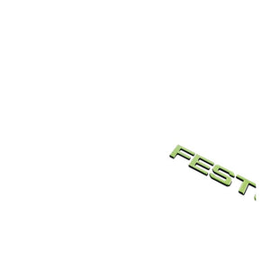 Festool 202912 Inspection Light STL 450-Set USA